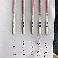 我也开始加入备孕行列了，大家帮我看看我是5月25日月经结束，显示6月5日是排卵日，前后开始测排卵试纸，...