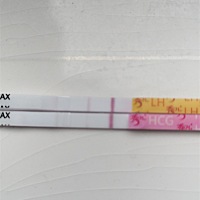 一个是排卵试纸一个是验孕棒，这是不是怀孕了啊