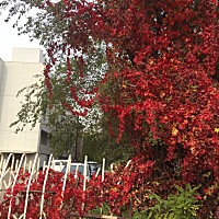 有沈阳备孕的姐妹吗？备孕检查哪个医院好点？大约检查些什么？