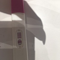 末经5月10号，23号排卵，今天中午测了一下，大家帮我看看是不是怀孕啦！