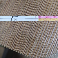 大家帮我看一下，很深的是排卵和一个验孕棒，这是怀了吗？但是我今天又买了一个验孕笔上面显示没怀，什...