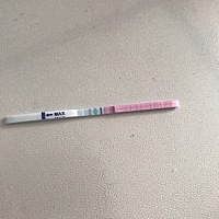 姐妹们，我问一下我末次月经是5月17开始的，今天测了一下排卵试纸，是这样的，有没有怀孕的可能，离大姨...