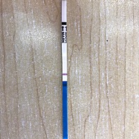 同房第十二天，一早测还是没有，昨天以为有意念灰可高兴坏了，还去验了血可没有怀，有点失落，感觉希望...