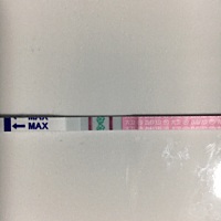 上个月27 28号样子排卵的   这个月去抽血显示HCG小于10未怀孕。从七号开始乳头疼 八号晚上就试探性测了...