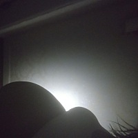 谁能看出是男宝女宝