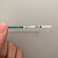 月经推迟8天了，亲们帮我看看是不是🈶了，之前刚到月经期去抽血两次都没有怀孕，