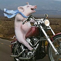 求回奶最快有效的方法❤️