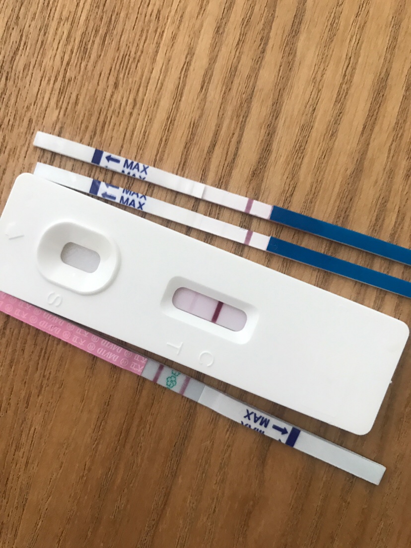 上面三个是早孕试纸，最下面是排卵试纸。