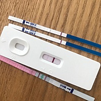 求助！！！这是怀孕了吗？ 上面三个是早孕试纸，最下面是排卵试纸。