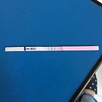 姨妈推迟三天，排卵试纸两条杠，请问有好孕的可能嘛