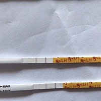 13号姨妈日，第一根是今天早上晨尿测过的排卵试纸，第二天是昨天晚上下午测过的排卵试纸，又怀孕的可能...