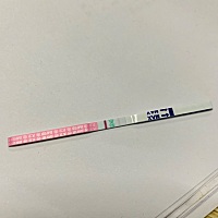 5月18日大姨妈 6月1日排卵 6月15日就是姨妈日了 我还没有测早早孕。今个月太佛系了，懒得玩尿。 今天中...