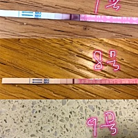 同房第十天了，排卵试纸很浅，早孕白板，月经推迟两天了，我还有希望吗？（图片都是这几天的排卵试纸）