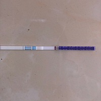 5月10号末次月经，今天还是白板，除了失眠没有任何反应，是不是又没戏了？