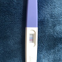 真的是失望啊，这半个月感觉体温一直比较高，大夏天还经常感觉冷，各种觉得肚子不舒服，昨天测还有隐约...