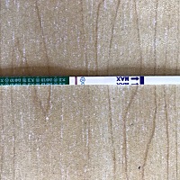 排卵第十四天，还是白板，坐等姨妈来的日子也煎熬，同时又抱着希望。