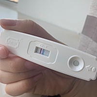 备孕第四个月。5月13末次月经。周期28天。今天早上验孕棒还是白板。排卵试纸有粉印。乳头疼了几天了。也...