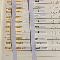 这怎么看强阳呀？软件显示9号排卵，5号开始测，感觉变化也不大，我也是懵了