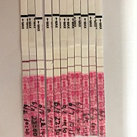 如图，麻烦会看的姐妹帮我看看，啥时候排卵？同房几次