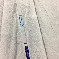 图一昨天  图二今天  是要怀了吗   好开心啊