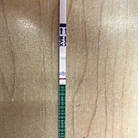 排卵第十五天，晨测大家帮我看看，有没有？姨妈不来，测也测不出来，焦急！