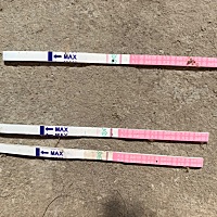 想问一下，有没有用过排卵试纸的宝妈，第一次用排卵试纸，每天都是晚上检测的，检测完一分钟看的是一条...