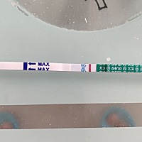 末次月经5.21，排卵日6.4，今天鼓起勇气测了一下大白板，看来这个月又没戏了。