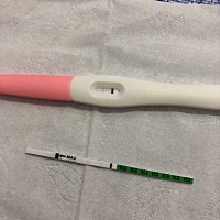 这是有了吗？5.14例假第一天，这两天上厕所频繁，刚刚测的。四月份有一个没保住，祈祷这个可以平平安安