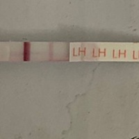 亲们 这是什么意思啊