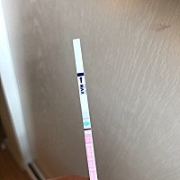 排卵试纸测孕准吗？5月19号末次月经，今天测出浅的双杠。