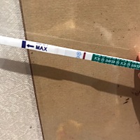 今天排卵日后第12天 末次5.13号 刚刚测了zzy大白板……软件显示16号的姨妈日 今天白带增多 是不是没戏了...