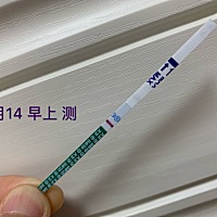 5.18大姨妈  今天测的早早孕： 白花花呀～ 白花花～ 🤣🤣🤣 今天有时间就去买包卫生巾等待大姨妈...