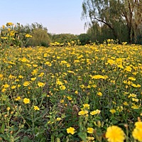 好👌解说视频在线观看