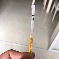 (转)6.1日排卵，然后用金秀儿试纸测了帮我看下有没有怀孕，检查也去医院做完了，叶酸吃了三个月，水果天...