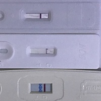 末次月经5月17号，每月非常准确，每月提前3天，本应该今天来的，还没来，测到这样情况，不知道有没有，...