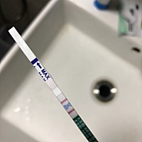 4月20号末次月经！5月27号超过一星期了测了没有！就没在意！直到今天才突然觉得这段时间好像不太对劲儿...