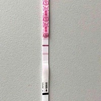 亲们，这算怀孕了么？？金秀儿的早早孕试纸放了一天，准备扔掉的时候发现有点点灰色的印子