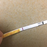 是否是着床出血啊？金秀儿早孕白板，但是也没有到姨妈日