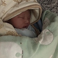 硬生生的给我痛了24小时  总之产程很难熬  目前不想在回忆了。中途直接给医生说不顺产了。要剖宫产...