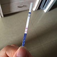 软件显示今天排卵，希望这月好孕！