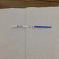 上月末次月经8号。不会是炸胡吧。。。