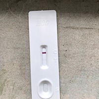 5月22号的末次月经，不知道是不是有了，备孕一个月，请各位宝宝看看