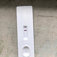 刚忘记上图，在请各位帮忙看看，5月22号末次月经