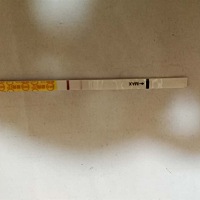 是否怀孕了？刚测早早孕，没看到颜色，不知道是否怀孕了，今天是安排的第9天。