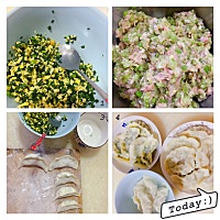 今天吃饺子、包两种馅