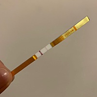 末次大姨妈6.6号走的，然后今天测了一下排卵试纸。是要排卵了嘛😂😂😂