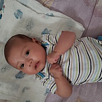 宝贝今天三个月啦。听说三个后会好点，不会哭闹太多了😂😂😂就想知道你怎么和听说的不一样。稳稳...