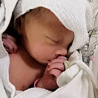 报喜 昨日得千金。     但是我本人生完小孩全身酸痛的昨晚都睡不着。   全身太酸痛了。 你们会这样...