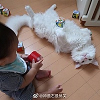 喵：带孩子太累了，我为这个家付出太多了，先睡会！