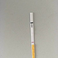 心塞到不行，金.秀.儿就是不见双杆，羡慕那些一啪啪就怀孕的人。